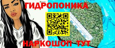Альфа ПВП Славгород